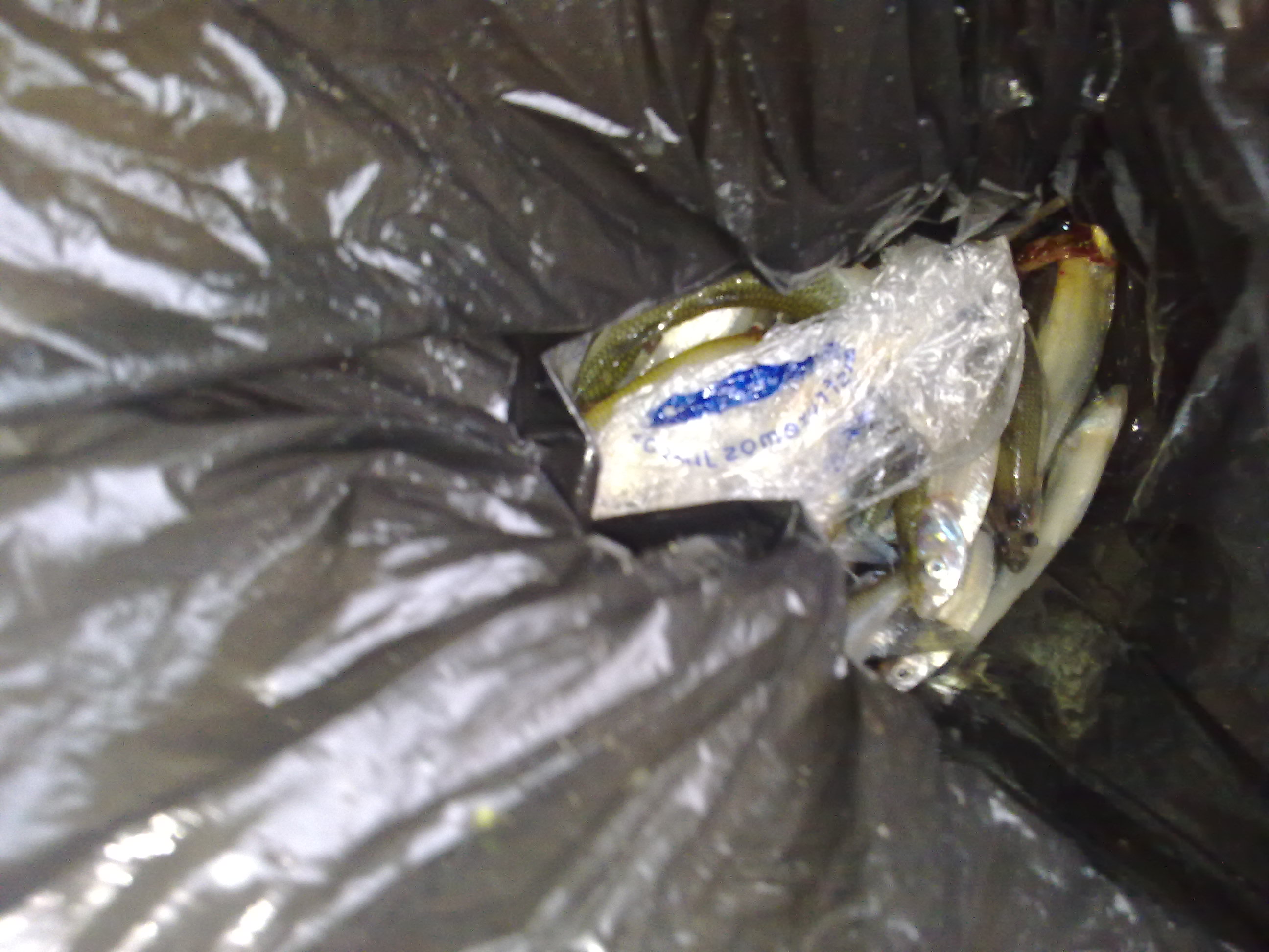 fotos/2012-05-27 - Pesca la redonda/27052012292.jpg